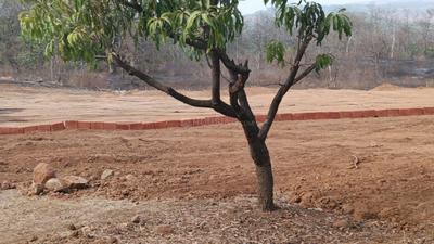 Image of 1089 Sq.ft Residential Plot / Land for sale in Jambhulpada, Raigad for Rs. 550000