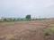 Perne Plot View 2