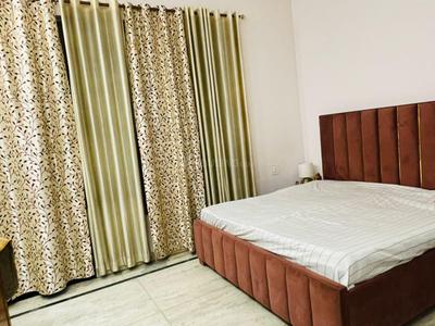 Bedroom Image of 1450 Sq.ft 3 BHK Apartment / Flat for rent in NFL Society, Sector PI Greater Noida for Rs. 32000