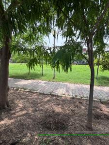 Image of 2250 Sq.ft 4 BHK Independent House for sale in Sector 79, Mohali for Rs. 72000000