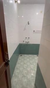 Image of 5000 Sq.ft 4 BHK Independent House for sale in Gomti Nagar, Lucknow for Rs. 43500000