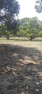 Image of 900 Sq.ft Residential Plot / Land for sale in Majra, Dehradun for Rs. 2100000