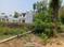 raipur road Plot View 2