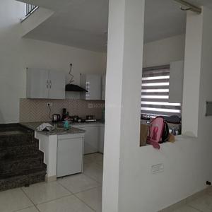 Kitchen Image of 1400 Sq.ft 3.5 BHK Duplex for rent in Land White City, Sector 114 Mohali for Rs. 48000