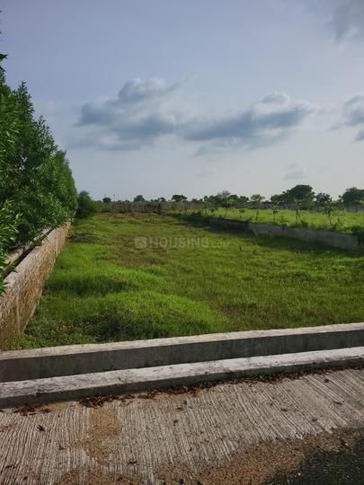 Sky green city Main Image 1