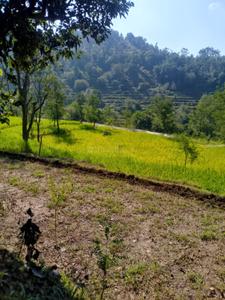Image of 1000 Sq.ft Residential Plot / Land for sale in Morni Hills, Morni, Panchkula for Rs. 5000000