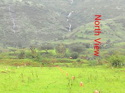Trimbak Plot View 2
