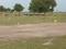 Yadagirigutta Plot View 2