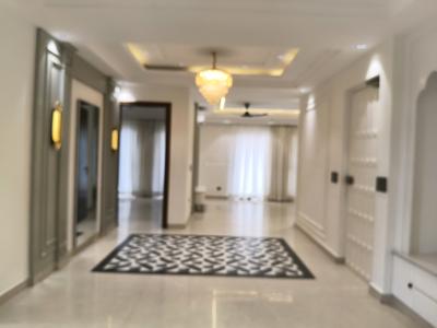 Living Room Image of 1500 Sq.ft 2 BHK Builder Floor for rent in Palam Vihar Gurgaon for Rs. 31000