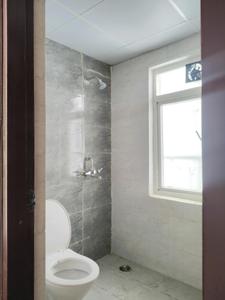 Common Bathroom Image of 805 Sq.ft 2 BHK Apartment / Flat for sale in Amrapali Dream Valley 2, Noida Extension Greater Noida for Rs. 5851000