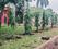 DPS School Plot View 2