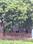 Gandhigram Main Image 1
