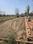 Atharv Royal Green City Main Image 1