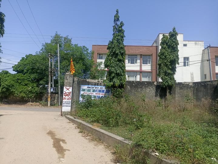 Royal green society Main Image 1