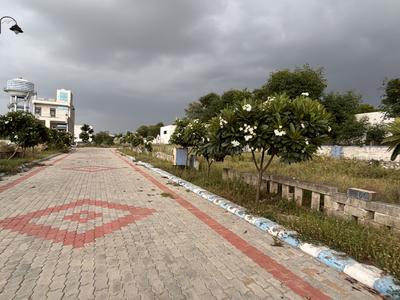 Block C Plot View 1