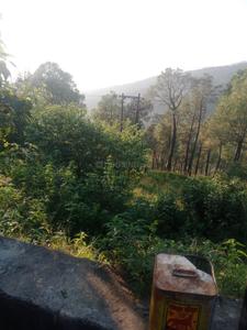 Image of 21000 Sq.ft Residential Plot / Land for sale in Bintola Malla, Almora for Rs. 4200000