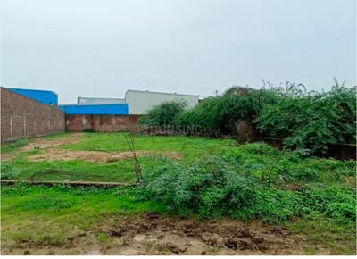 Shree Ram Plot View 1