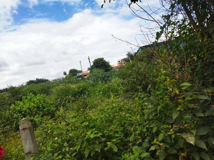 Loni Kalbhor Main Image 1