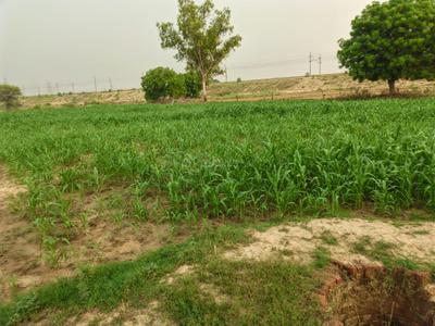 Image of 15000 Sq.ft 12 BHK Villa for sale in Harris Ganj, Kanpur for Rs. 10000000
