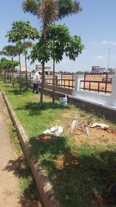 Image of 1350 Sq.ft Residential Plot / Land for sale in Shadnagar, Ranga Reddy for Rs. 2700000