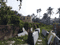 Kanaipur Plot View 2