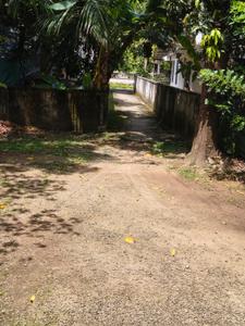 Image of 900 Sq.ft 3 BHK Independent House for sale in Annamanada, Thrissur for Rs. 2850000