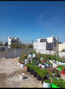 Image of 965 Sq.ft 2 BHK Independent House for sale in Bijalpur, Indore for Rs. 9100000