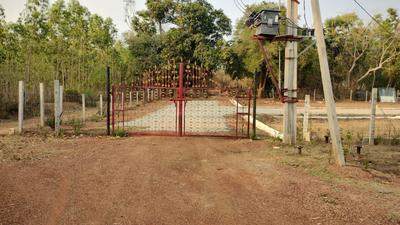 Kothavalasa Plot View 2