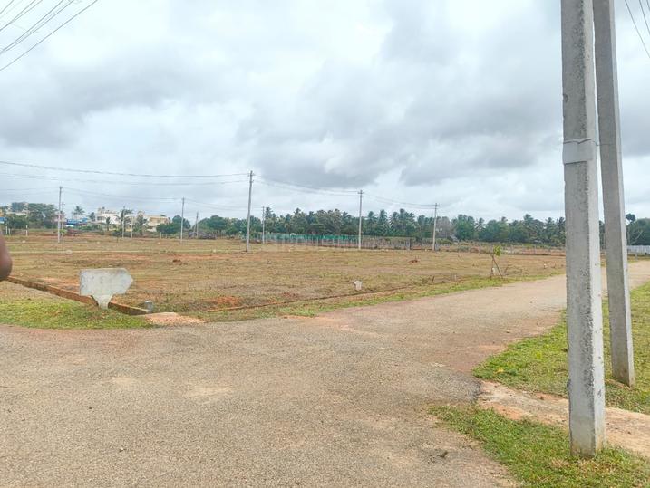 Danagalli Main Image 1