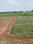 Shyam Property Main Image 1