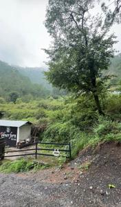 Image of 2200 Sq.ft 4 BHK Villa for sale in Khurpatal, Nainital for Rs. 18000000