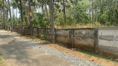 Velappaya, Killannur Plot View 2