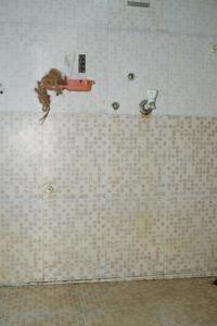 Bathroom Image of 700 Sq.ft 1 BHK Apartment / Flat for sale in Sai Balaji Complex, Murbad Thane for Rs. 2550000