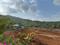 Neoliv Grand forest Main Image 1