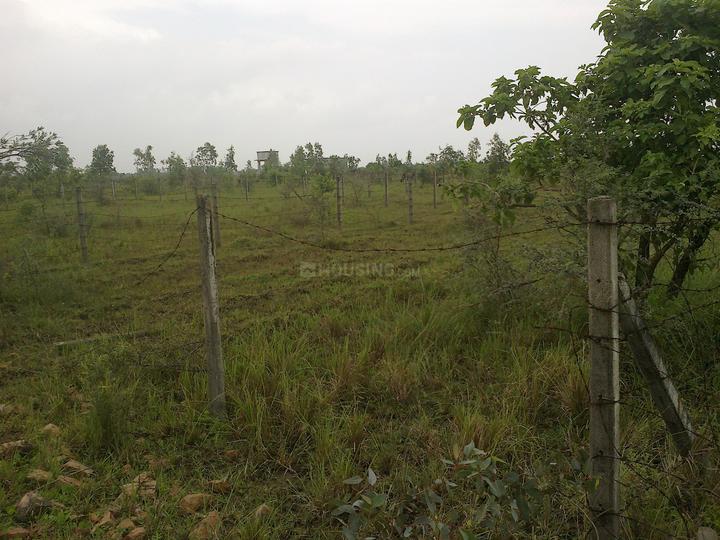 Ajwa Nimeta Link Road Main Image 1