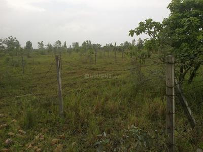 Image of 2322 Sq.ft Residential Plot / Land for sale in Ajwa Nimeta Link Road, Vadodara for Rs. 3500000