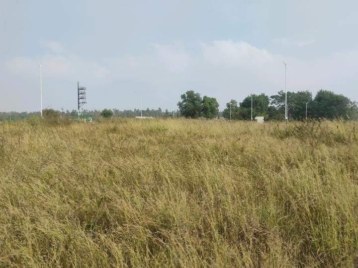 SGR Realty Main Image 1