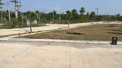 Nandi Nandi Nest Plot View 2