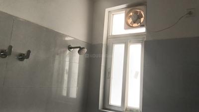 Image of 1000 Sq.ft 2 BHK Apartment / Flat for rent in Sikka Karnam Greens, Sector 143B, Noida for Rs. 30000