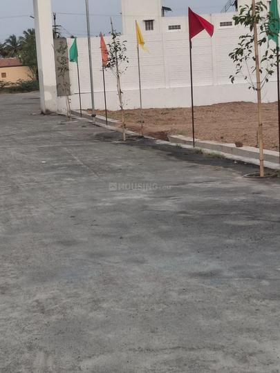 Avinashi Taluk Main Image 1