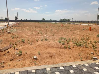 Residential Plot
