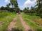 Diamond Park, Joka Plot View 2