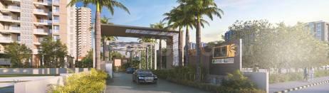 Divine Palm Spring Main Image 1