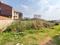 Aashiyana star properties Main Image 1