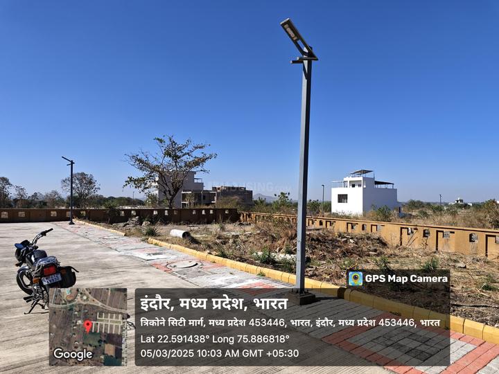 Radhika Shanti Palm Main Image 1