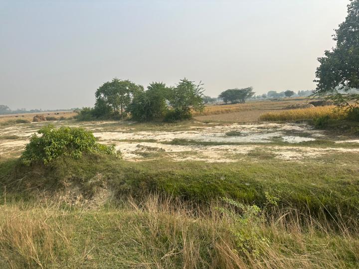 Mohanlalganj Main Image 1