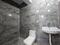 Saket Bathroom 1