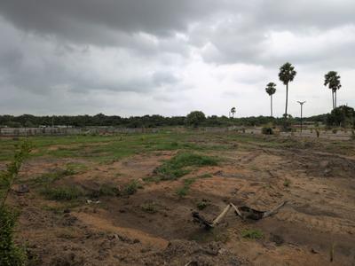 Residential Plot