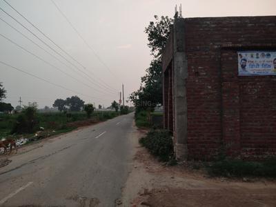Image of 1104 Sq.ft 3 BHK Independent House for sale in Sadhan Wali Basti, Moga for Rs. 175000