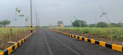 Janaharsha gloden leaf Plot View 2